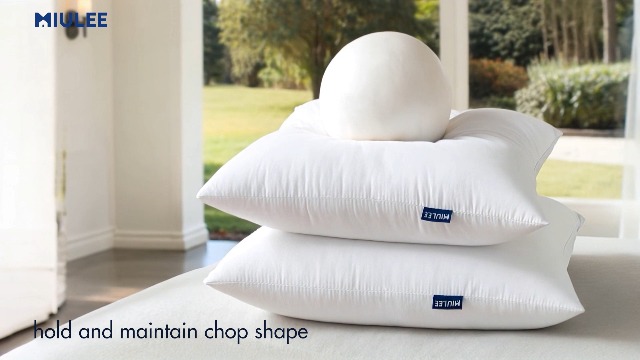 Amazon.com: MIULEE Pack of 2 18x18 Outdoor Pillow Inserts, Outdoor